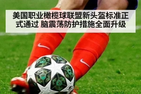 美国职业橄榄球联盟新头盔标准正式通过 脑震荡防护措施全面升级